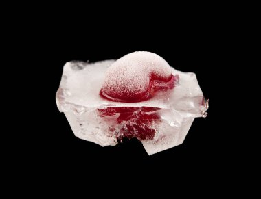 bir siyah arka plan portre üzerinde dondurulmuş vişne