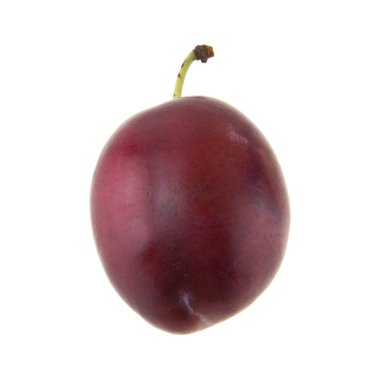 Erikler beyaz arkaplanda izole edildi