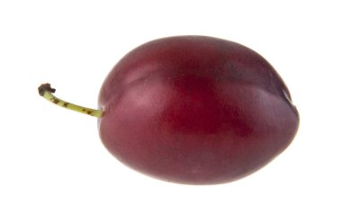 Erikler beyaz arkaplanda izole edildi