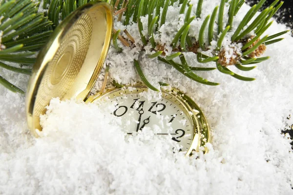 Relógio e ramo de uma árvore na neve close-up — Fotografia de Stock
