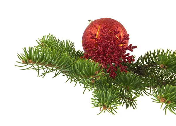 Red ball and red snowflake with branch of Christmas tree isolate — Stock Photo, Image