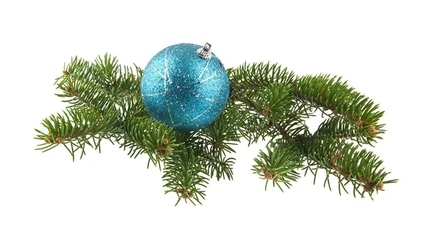Bola azul e ramo da árvore de Natal isolado no backgro branco — Fotografia de Stock