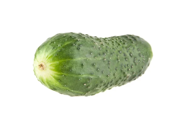 Cucumber isolated on white background — Stock Photo, Image