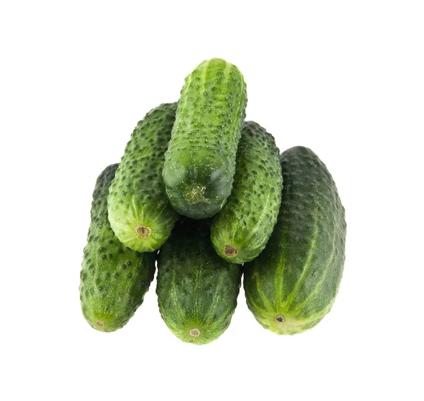 Cucumbers isolated on white background — Stock Photo, Image