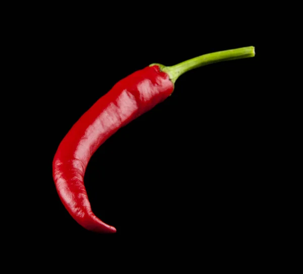 Red pepper on a black background closeup — Stock Photo, Image