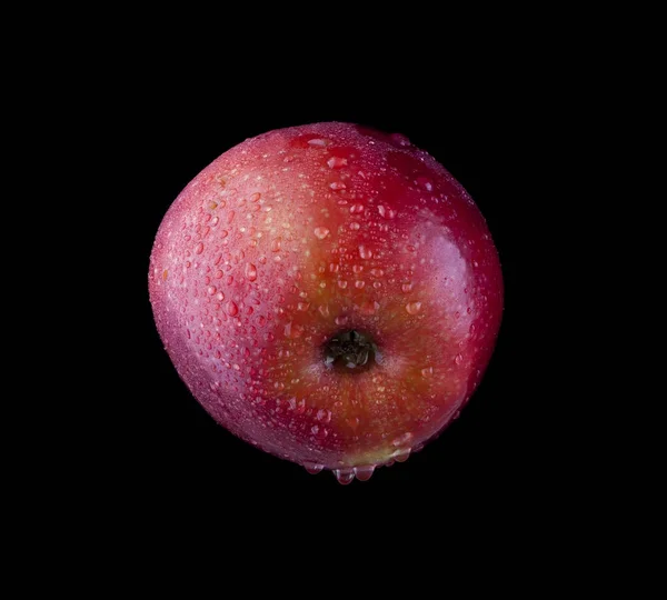 Manzana en gotas de agua sobre un fondo negro —  Fotos de Stock