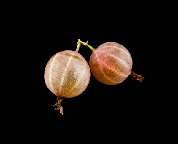 Juicy gooseberries on a black background closeup — Stock Photo, Image