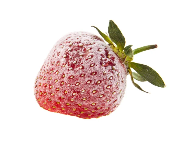 Fragole congelate isolate su fondo bianco — Foto Stock