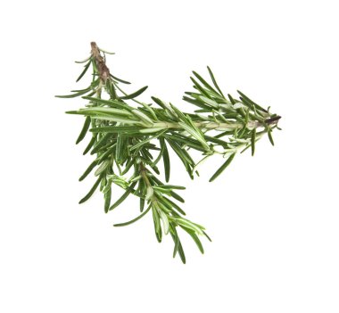 Biberiye beyaz arka planda izole edildi