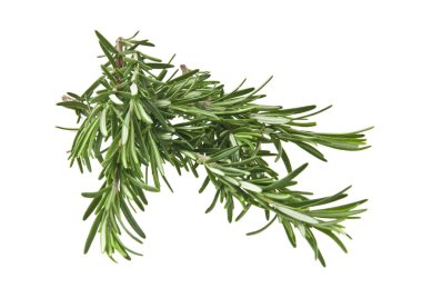 Biberiye beyaz arka planda izole edildi