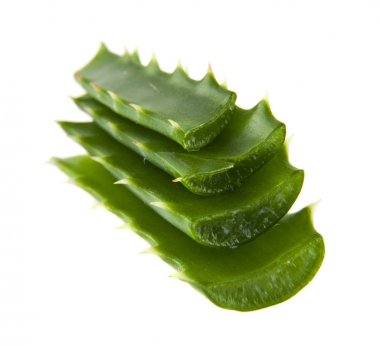 Aloe beyaz arkaplanda izole edildi
