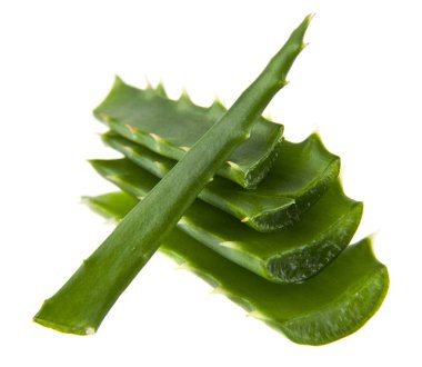 Aloe beyaz arkaplanda izole edildi