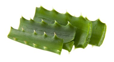 Aloe beyaz arkaplanda izole edildi