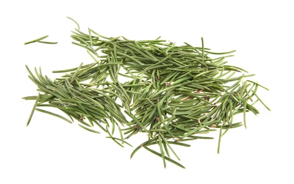 Beyaz arka plan üzerinde izole bir Noel ağacı dalı