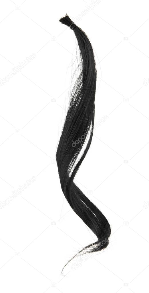 curl of black hair isolated on white background close-up