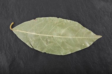 arka plan siyah arduvaz kurulunun defne yaprağı