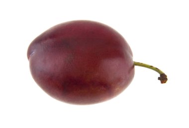 Erikler beyaz arkaplanda izole edildi