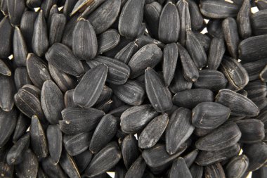 arka plan ayçiçeği tohumu