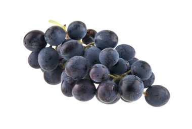 Beyaz arkaplanda izole edilmiş üzümler