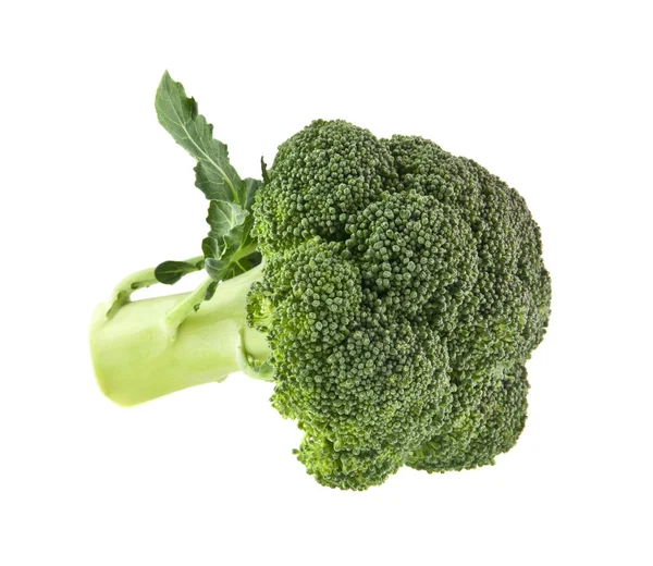 Broccoli isolerad på vit bakgrund — Stockfoto