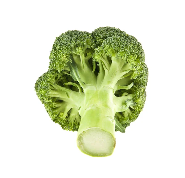 Brócoli aislado sobre fondo blanco — Foto de Stock