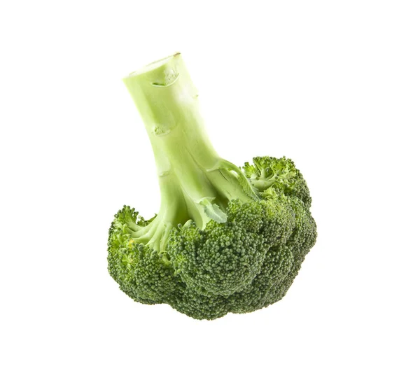 Broccoli geïsoleerd op witte achtergrond — Stockfoto