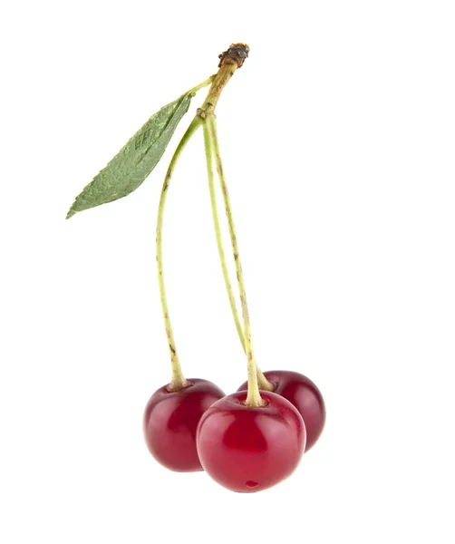 Red juicy cherry isolated on white background — Stock Photo, Image