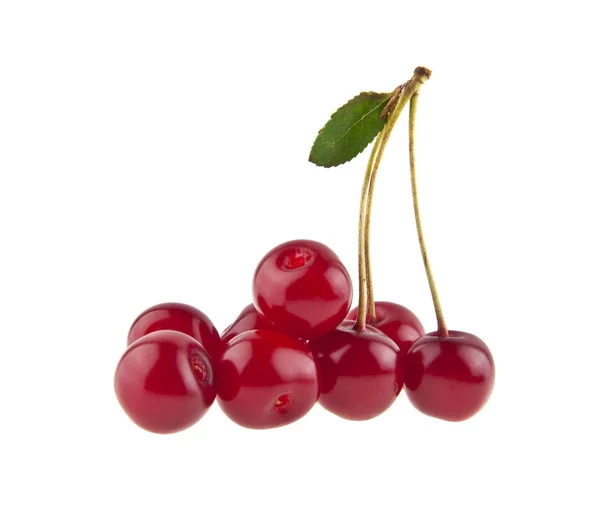 Red juicy cherry isolated on white background — Stock Photo, Image