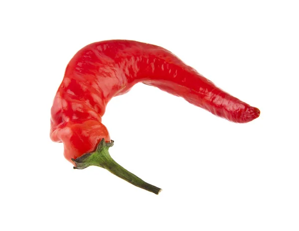 Röd varm chili peppar isolerad på vit bakgrund — Stockfoto