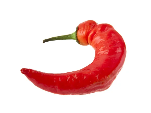 Röd varm chili peppar isolerad på vit bakgrund — Stockfoto