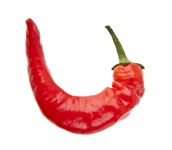 Κόκκινο καυτερό πιπέρι τσίλι απομονώνονται σε λευκό φόντο — Φωτογραφία Αρχείου