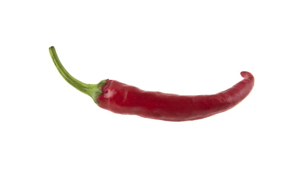 Piros forró chili paprika elszigetelt fehér háttér — Stock Fotó