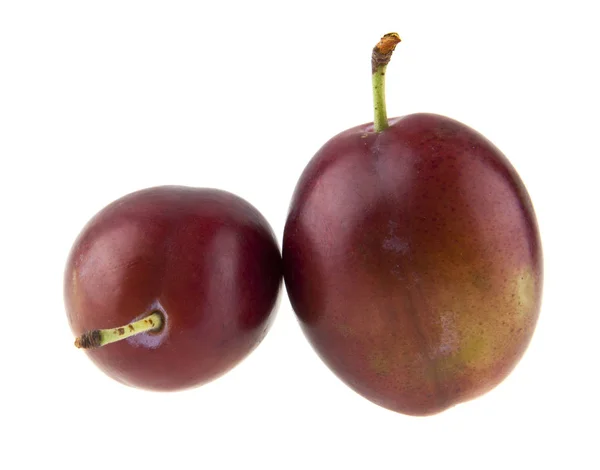 Plum diisolasi pada latar belakang putih — Stok Foto