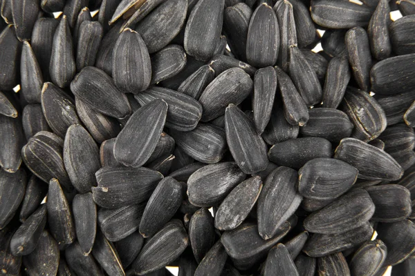 Sunflower seeds as a background — Stock Photo, Image