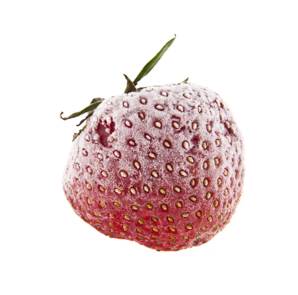 Gefrorene Erdbeere isoliert auf weißem Hintergrund — Stockfoto