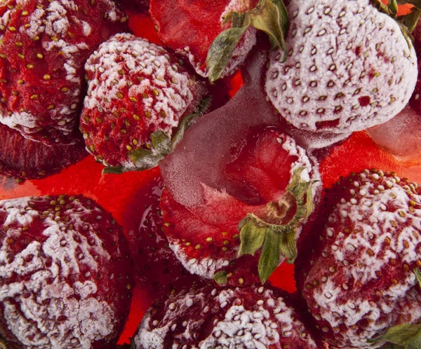 上から背景ビューとして赤いいちごを冷凍 — ストック写真
