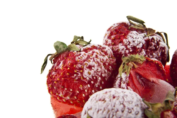 Fragole congelate in gelo isolate su fondo bianco — Foto Stock