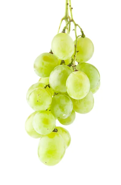 Grapes isolated on white background — Stock Photo, Image