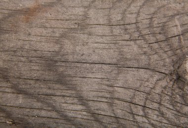 Arkaplan olarak ahşap doku