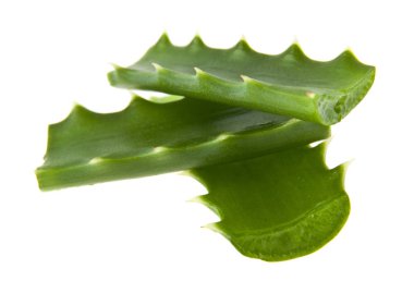 Beyaz arka plan closeup izole aloe