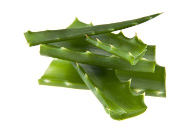 Beyaz arka plan closeup izole aloe