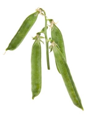 Beyaz arkaplanda izole bezelyeler