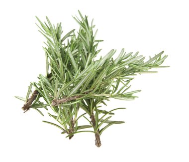 Beyaz arkaplanda biberiye izole edildi