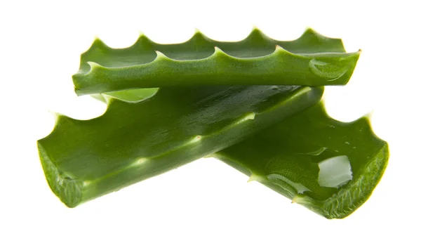 Aloe diisolasi di background closeup putih — Stok Foto
