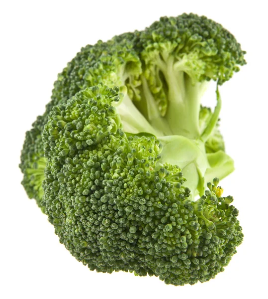 Broccoli geïsoleerd op witte achtergrond — Stockfoto