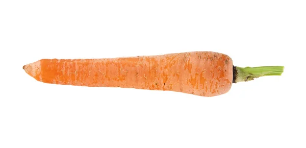 Cenoura isolada no fundo branco close-up — Fotografia de Stock