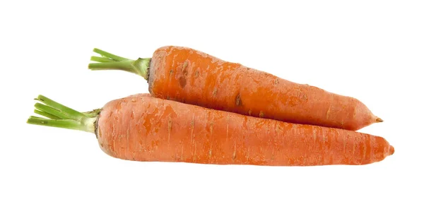 Морковь выделяется на белом фоне крупным планом — стоковое фото