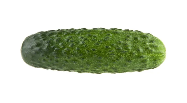 Green cucumber isolated on white background — Stock Photo, Image