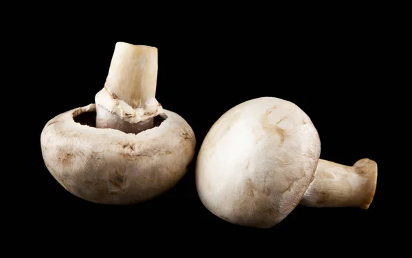 Mushrooms champignons on a black background — Stock Photo, Image