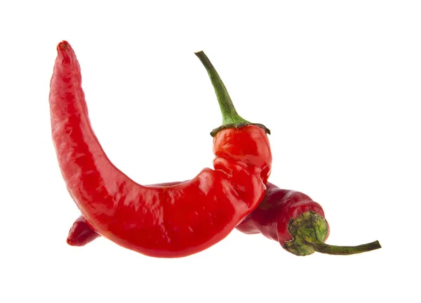 Červená paprika izolované na bílém pozadí — Stock fotografie